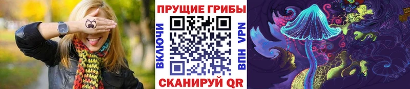 цены   Бабаево  Галлюциногенные грибы GOLDEN TEACHER 