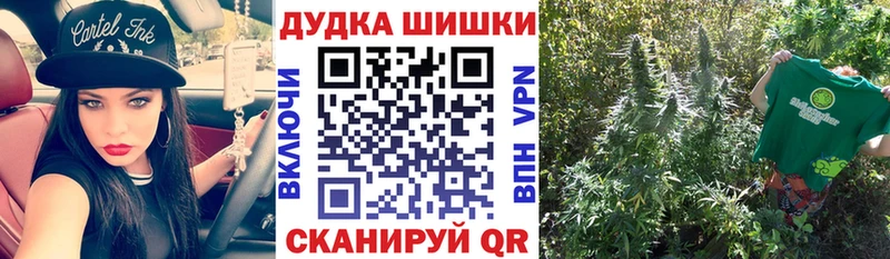 Бошки марихуана Bruce Banner  где можно купить   omg маркетплейс  Бабаево 